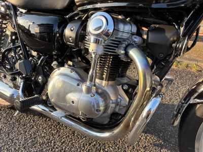 Kawasaki W800 2024