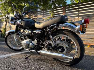 Kawasaki W800 2024