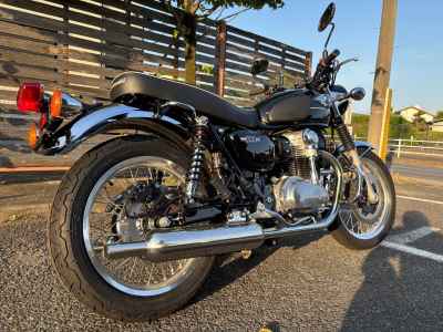 Kawasaki W800 2024