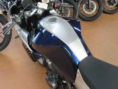 Honda Hawk 11 2022