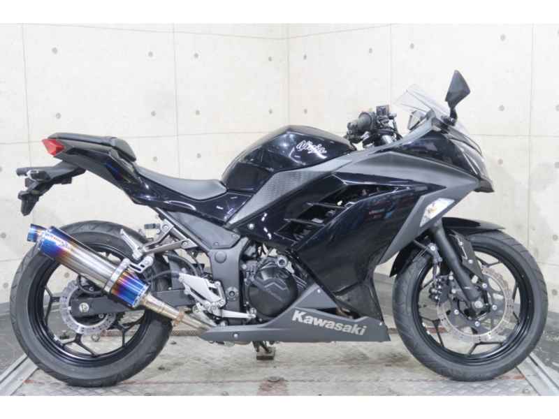 Kawasaki Ninja 250 2013
