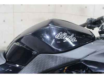 Kawasaki Ninja 250 2013