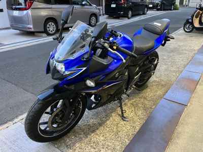 Suzuki GSX250R