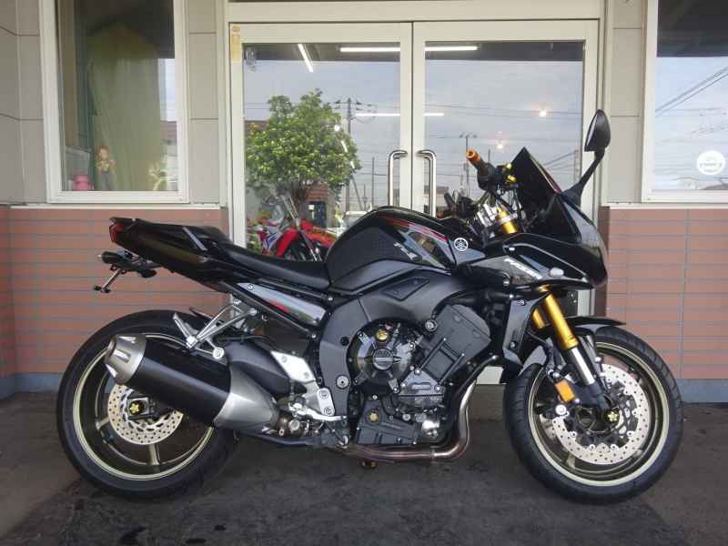 Yamaha FZ1 Fazer 2009