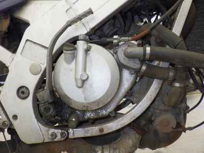 Suzuki Wolf 250