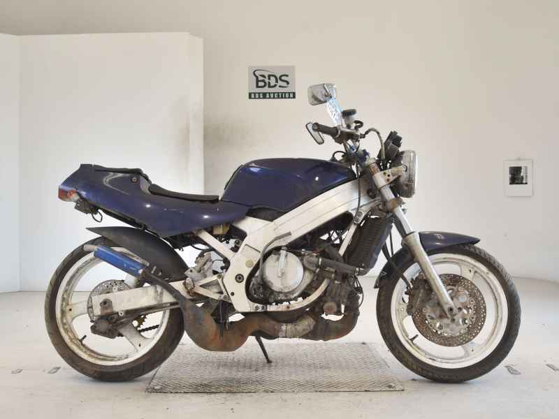 Suzuki Wolf 250