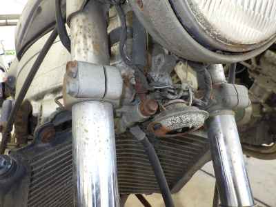 Suzuki Wolf 250