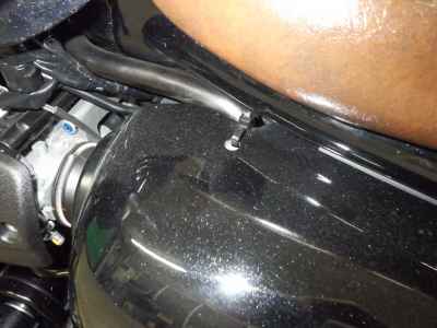 Kawasaki W800 2022