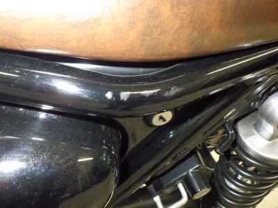 Kawasaki W800 2022