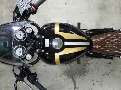 Kawasaki W800 2022