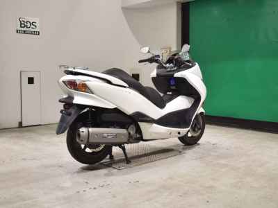Honda Forza Z 2010