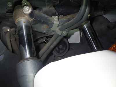 Honda Forza Z 2010