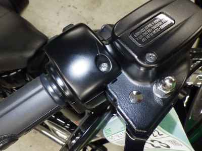 Harley-Davidson Sport Glide FLSB1750 2022