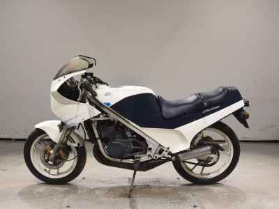 Suzuki RG250 Gamma