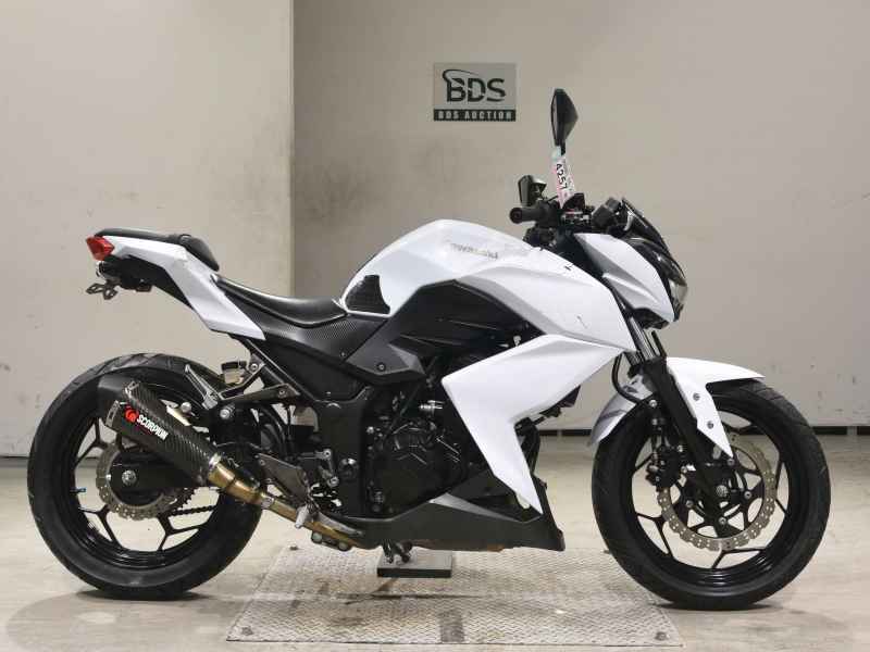 Kawasaki Z250 2013