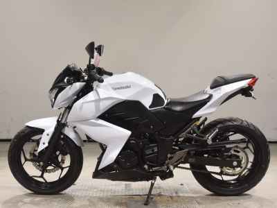 Kawasaki Z250 2013