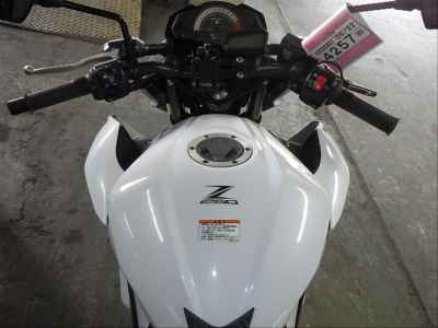 Kawasaki Z250 2013