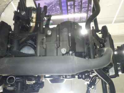 Honda CL250 2023