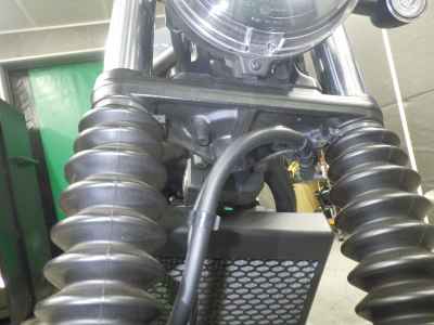 Honda CL250 2023