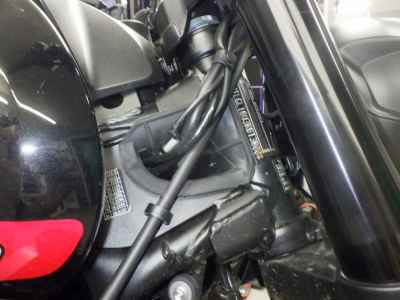 Triumph Trident 660 2025