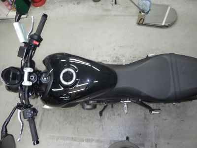 Triumph Trident 660 2025