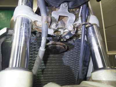 Kawasaki Balius ZR250