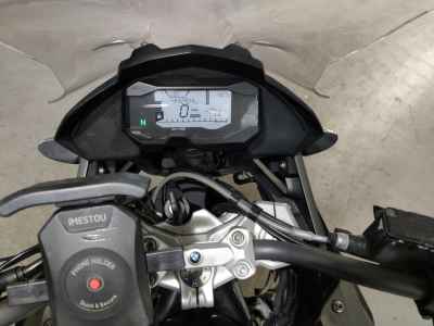 BMW G310GS