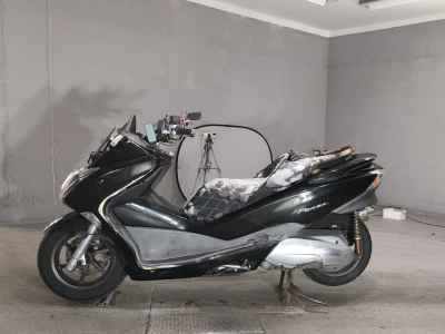 Honda Forza Z 2008