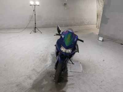Kawasaki Ninja 250R