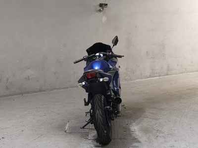 Kawasaki Ninja 250R