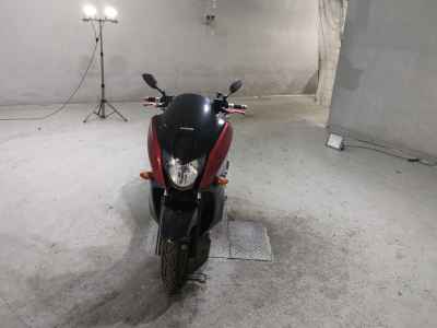 Honda Faze 2009