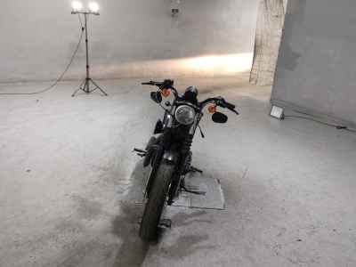 Harley-Davidson XL883N 2014