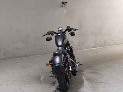 Harley-Davidson XL883N 2014