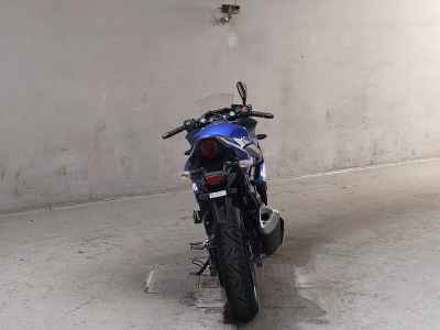 Suzuki GSX250R