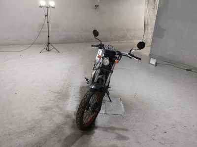 Yamaha Tricker