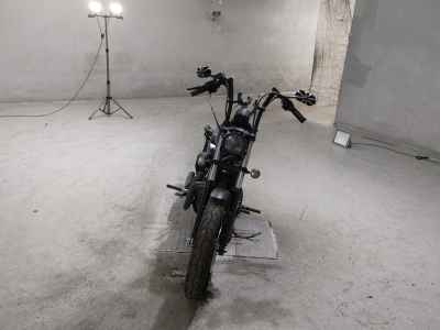 Harley-Davidson XL883N 2014