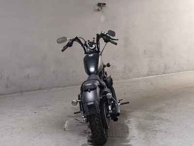Harley-Davidson XL883N 2014