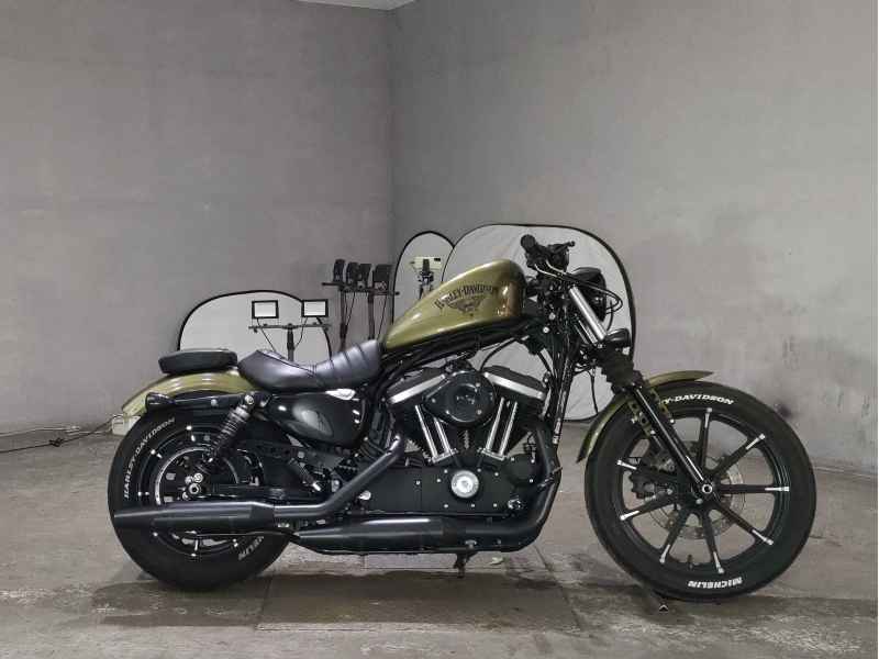 Harley-Davidson XL883N 2017