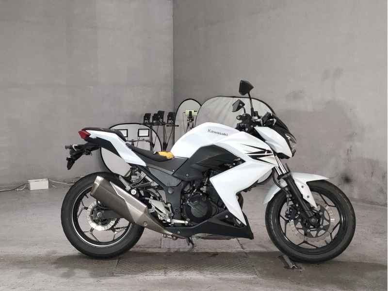 Kawasaki Z250 2013