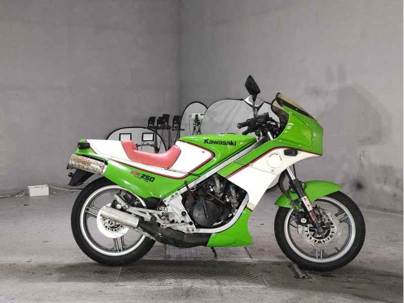 Kawasaki KR250