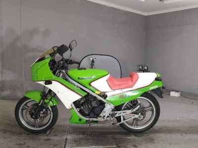 Kawasaki KR250
