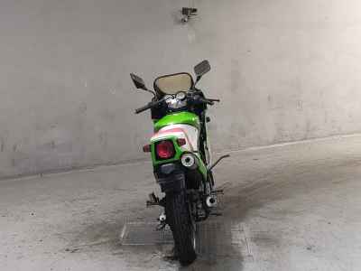 Kawasaki KR250