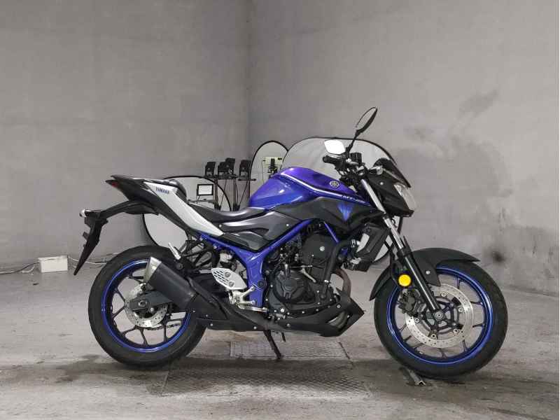 Yamaha MT-25 2017