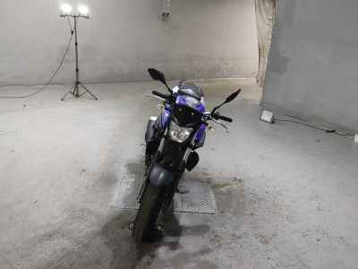 Yamaha MT-25 2017