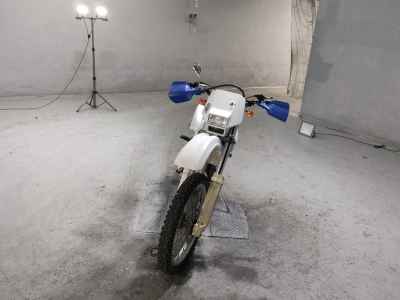 Suzuki DR250S