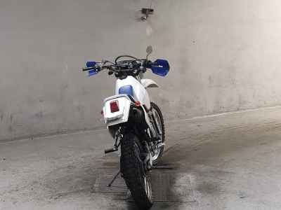 Suzuki DR250S