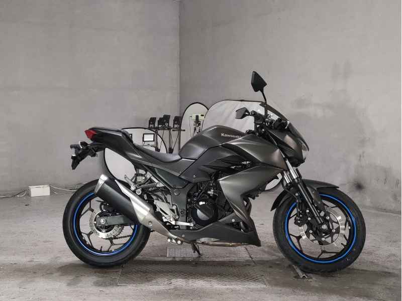 Kawasaki Z250 2013