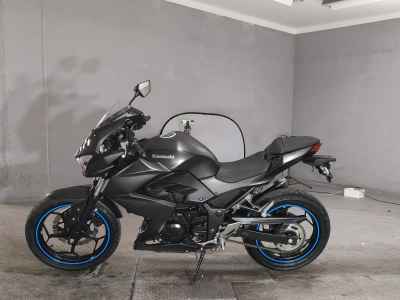 Kawasaki Z250 2013