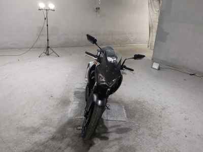 Kawasaki Z250 2013