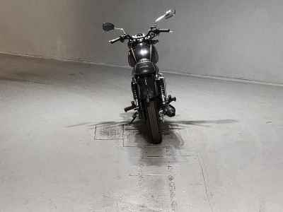 Kawasaki Estrella 2014